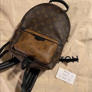 Louis Vuitton Palm Springs PM Reverse
